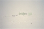 White out