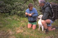 Filming Kiwi