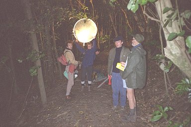 Night shoot